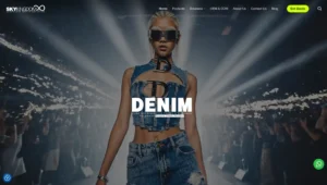 screenshot of the redesigned sky kingdom website (1)