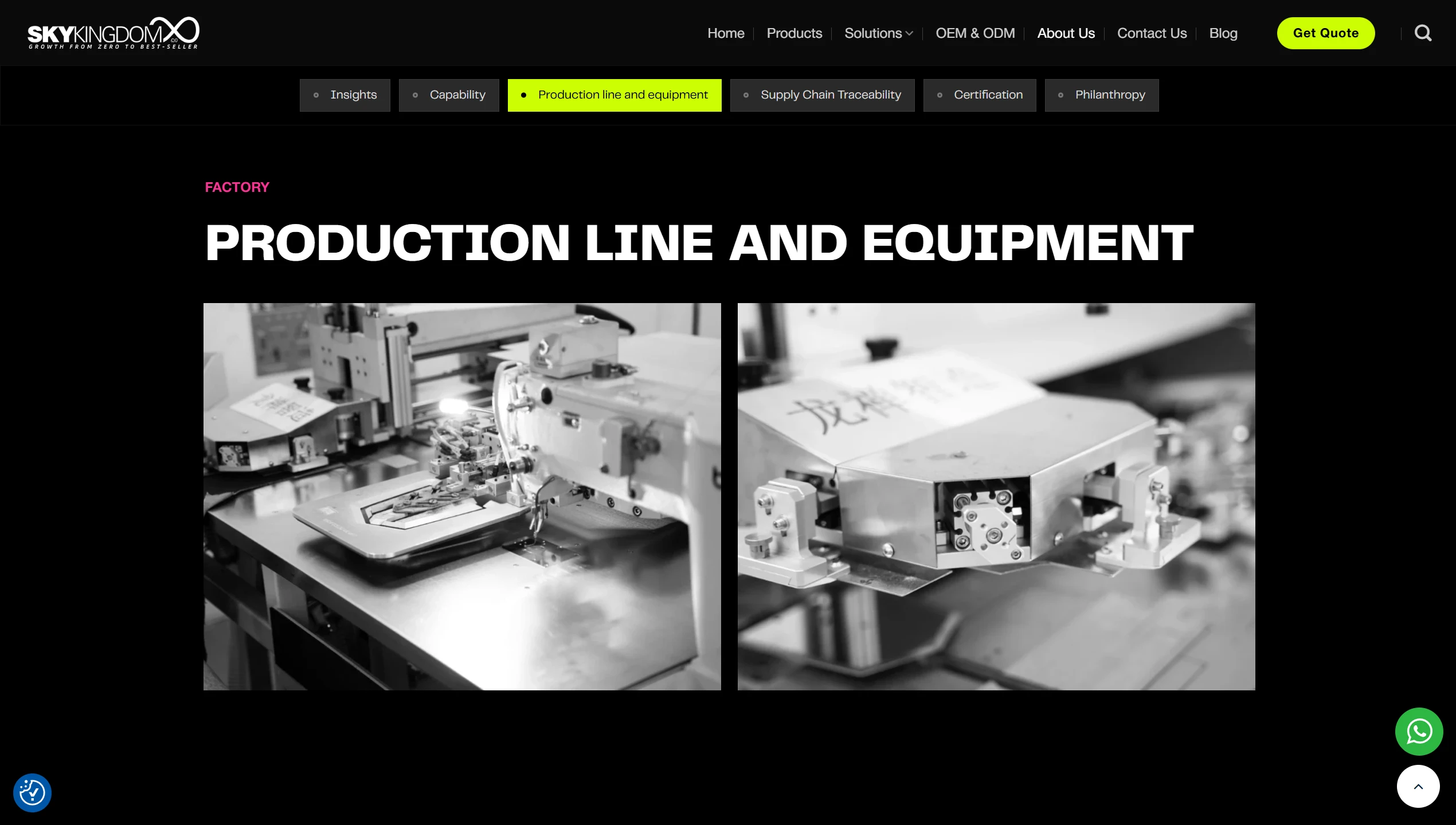 screenshot of the redesigned sky kingdom website (11)