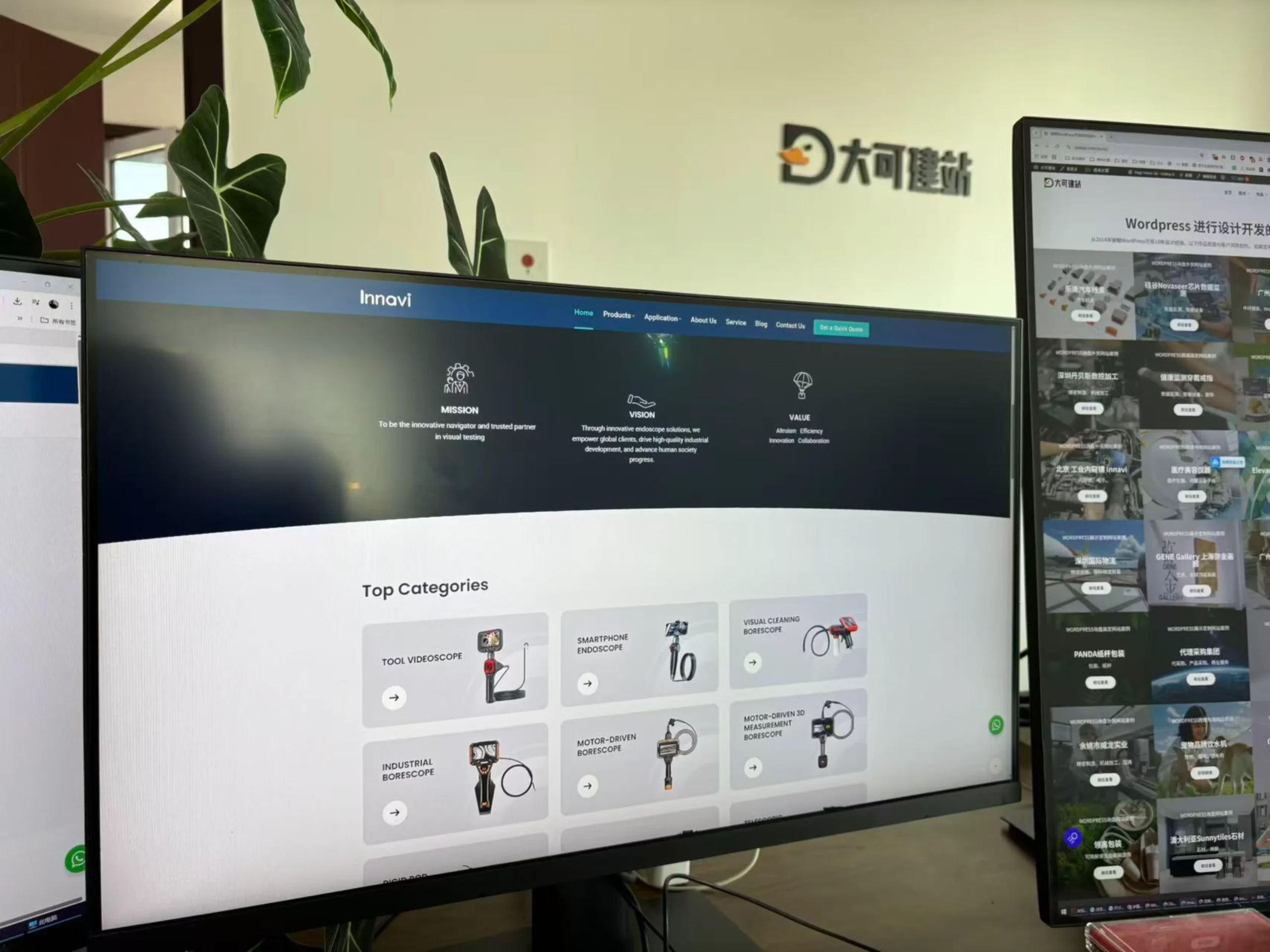 industrial borescope manufacturer website design wordpress case study